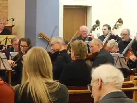 String players and double bassists performing, with audience heads in the foreground
