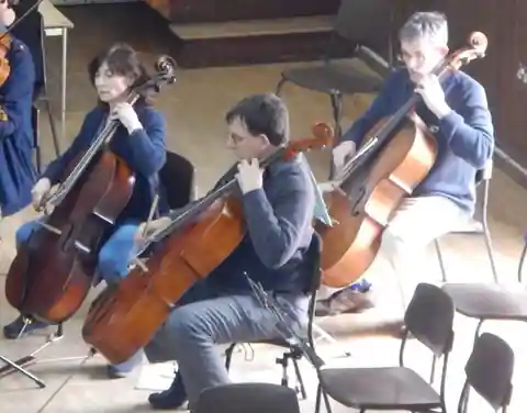 Three cellists in casual clothes rehearsing side by side